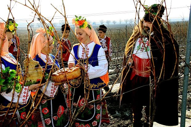 TRIFON ZAREZAN: CELEBRATING WINE AND TRADITION IN BULGARIA