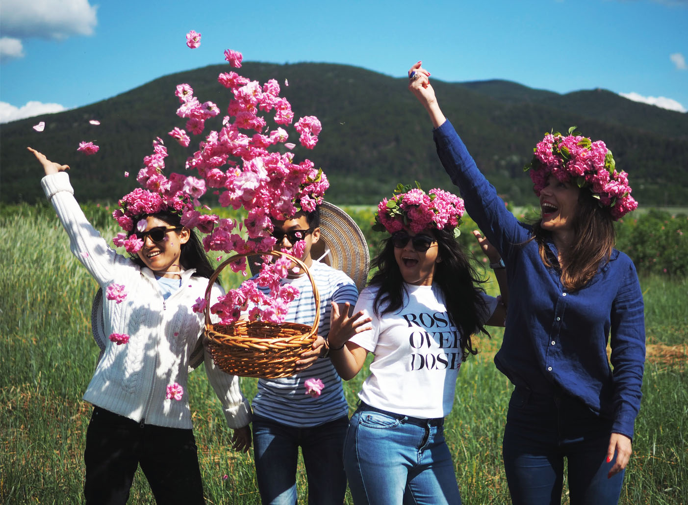 DISCOVER THE BEAUTY OF ROSE PICKING AND OIL PRODUCTION CUSTOMS IN BULGARIA